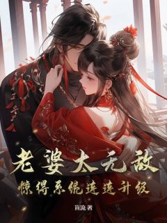 老婆太无敌，惊得系统连连升级完整版 宁凡苏婉婉苏玄璎全章节阅读