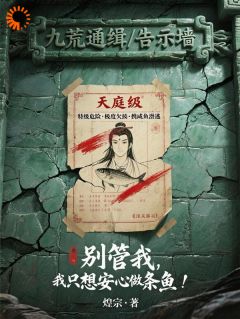 《别管我，我只想安心做条咸鱼！》白小穷沈三浪小说全本在线阅读