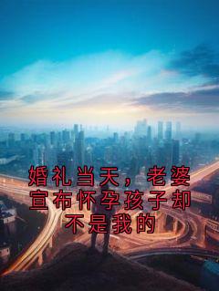 婚礼当天,老婆宣布怀孕孩子却不是我的