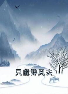 只能辞风去
