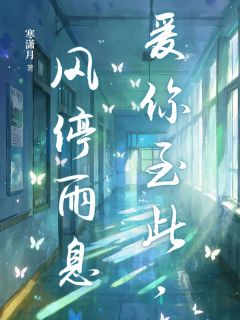 爱你至此,风停雨息