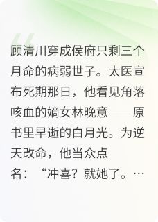 病弱世子今穿古,夫人宠上天