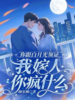 你跟白月光领证,我嫁人你疯什么