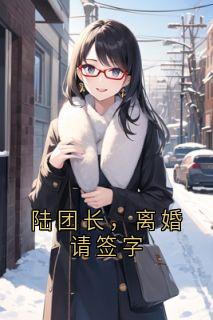 陆团长,离婚请签字