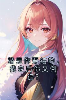 婚是你要结的,我走后你又倒追?