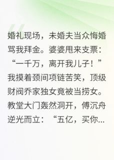 逆光归来:总裁他跪求破镜重圆