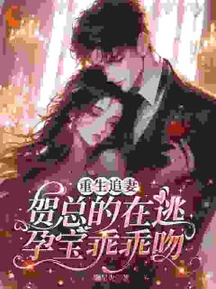 重生追妻,贺总的在逃孕宝乖乖吻