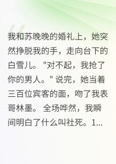 苏晚晚白雪儿林浩小说章节目录 《婚宴上，妻子吻了表弟》全文阅读