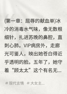 离婚当天,五个大佬排队喊大嫂