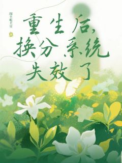 重生后,换分系统失效了