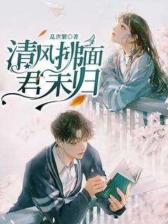 清风拂面,君未归