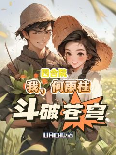 四合院:我,何雨柱,斗破苍穹