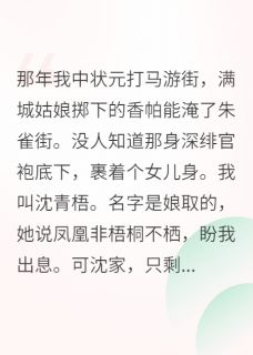 我,女扮男装,夺了天下