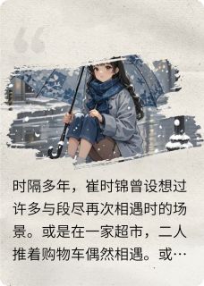 回国后被强制爱了完整小说目录在线阅读 (崔时锦段尽) 大结局无弹窗