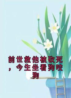 前世救他被砍死，今生坐看狗咬狗全章节免费试读 主角林晚沈亦白完结版