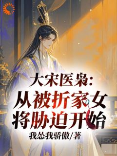 北宋：我黄袍加身救万民有错吗？小说全集免费在线阅读（林析折夜阑）