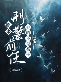 原来刑警前任办的不是案子,是我