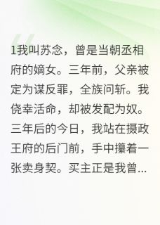 沦落为奴:王爷的禁忌爱