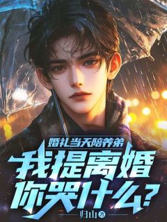 婚礼当天陪养弟，我提离婚你哭什么？苏沐辰徐月瑶小说全本在线阅读