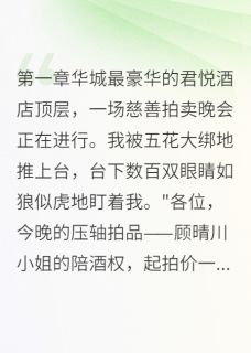 我在拍卖台上买下自己许墨寒江子昂晴川免费在线全文阅读