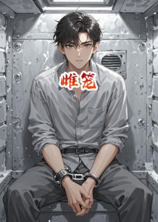 陈野沈昭小说大结局在线阅读 雌笼小说免费试读