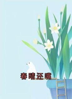 春晴还嘴