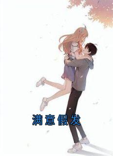 满意假发